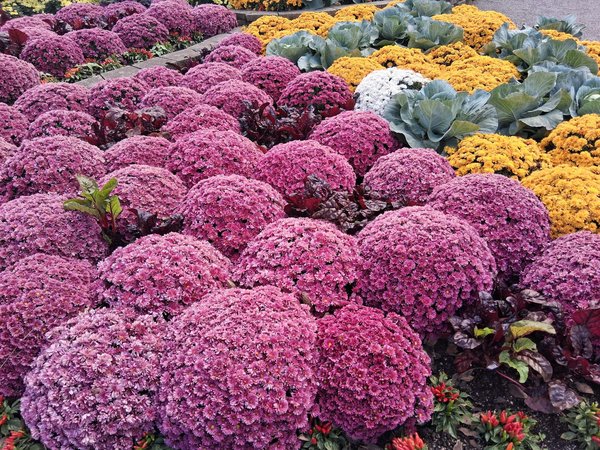 Hoe balanceer je werk en privé bij thuiswerken?